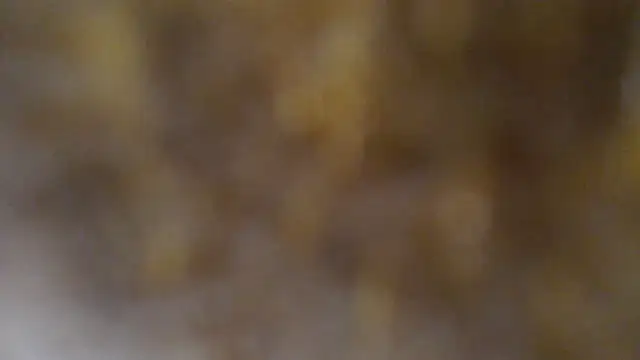 Burberrry_ 现场XXX聊天