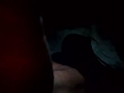 Show webcam de Aqua2312