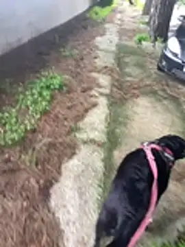 ANONIMO7735's Live XXX Chat