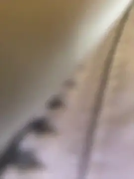 Molly-xiao webkamerás műsora