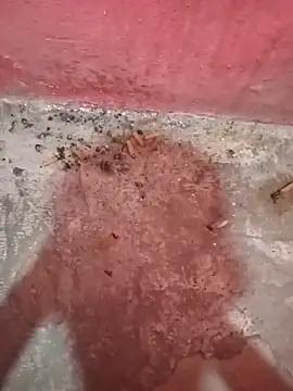 Show de webcam de jonapiceno