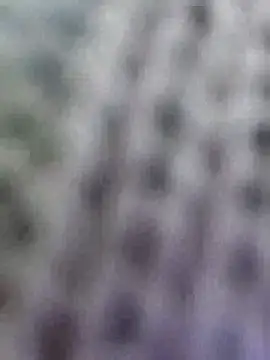 Hot-Sana2: онлайн-секс-чат