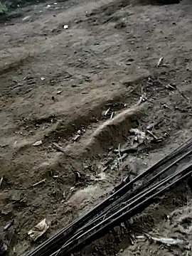 Shikaari013's Live XXX Chat