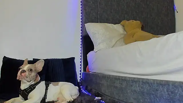 MeganKitty_ 라이브 XXX 채팅