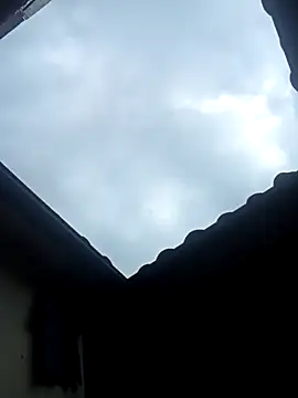 hairy_mannn Live XXX-chat