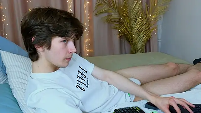 _Den1s_ 网络视讯表演