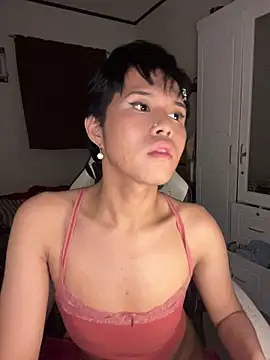 Plaxtiqueのウェブカメラショー