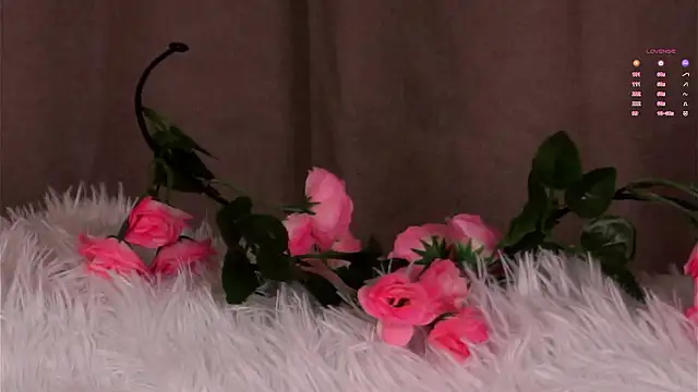 Chat +18 de AlbertaClack ao vivo