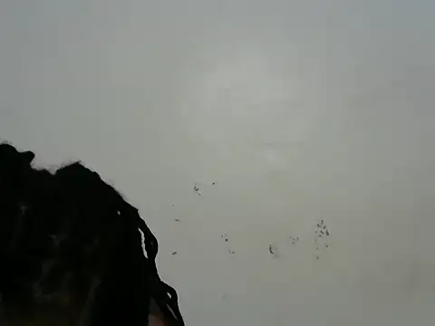 Rasta_tattooed's Live XXX Chat