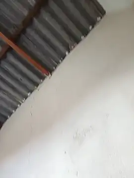 FiscalMiscount Pertunjukan Webcam