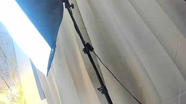 Alison_Chan_ Show in webcam