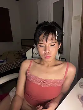 Plaxtiqueのウェブカメラショー