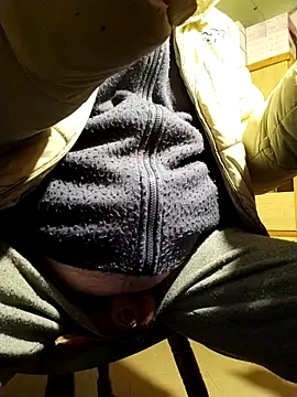 ficos2 网络视讯表演