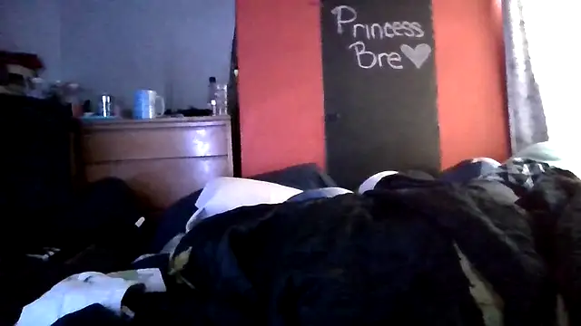 دردشة princessbr_013 الجنسية المباشرة