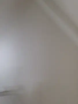 floctous 网络视讯表演