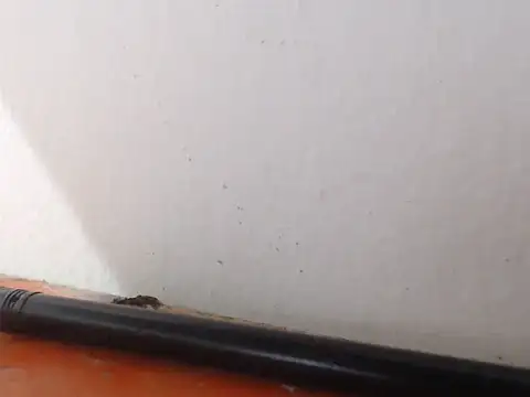 Chat XXX en directo de alexam_gal@xh