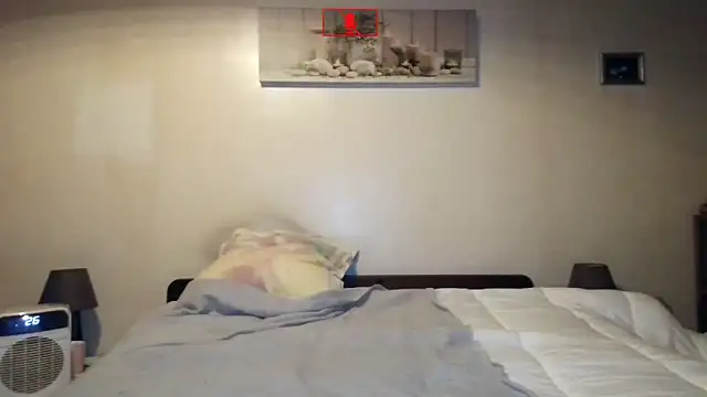 Chat +18 de Hgay6935 ao vivo