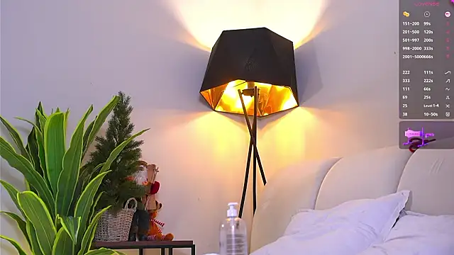 VallieBrandwein Show in webcam