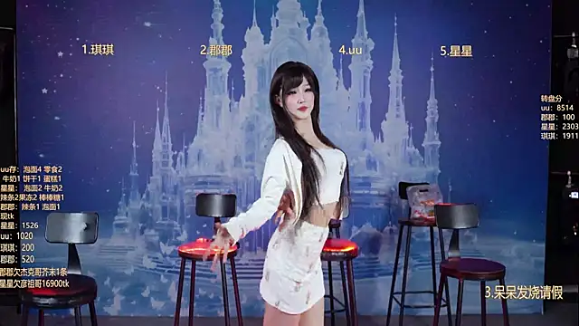 A848-01 网络视讯表演