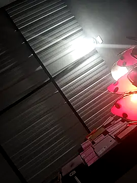 Dakary_hot 现场XXX聊天