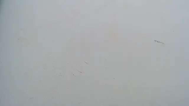 Živý XXX chat pinky_f00x