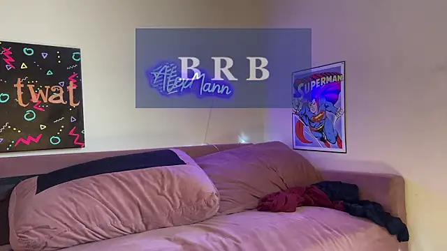 Show webcam de alexmannd