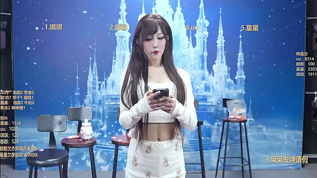 A848-01 网络视讯表演