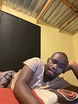 solodrive webcam show