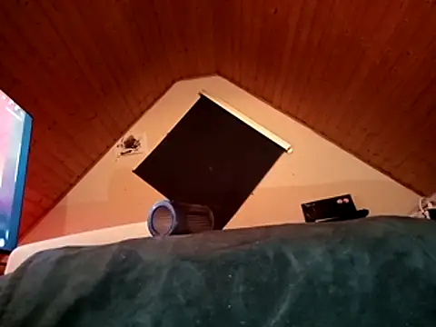 HornyPaul84 Webcam-Show