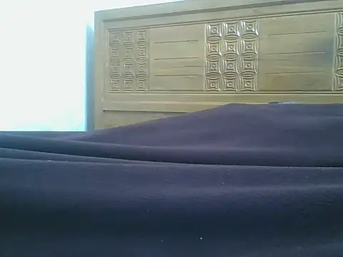 Heartline 网络视讯表演