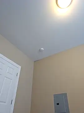 AmethystFoxx Live XXX Chat