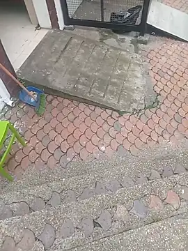 sophie_banger: απευθείας συνομιλία ΧΧΧ