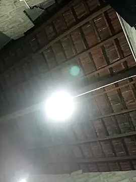 Webkamerová show babyslbany