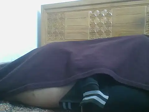 Heartline 现场XXX聊天