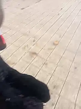 Chat XXX Live sophie_banger