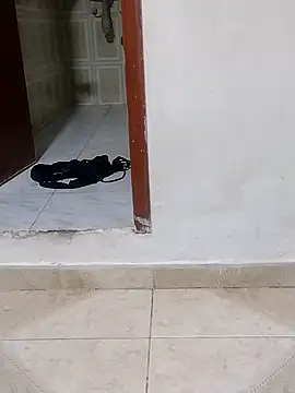 Juanstevan2724's Live XXX Chat