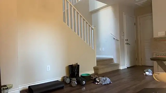 Show Webcam de alexmannd