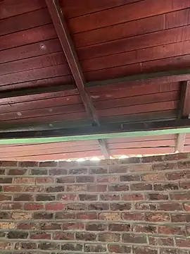 Couple_latinX Live XXX-chat