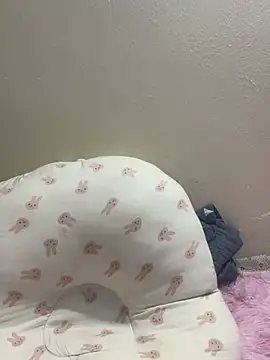 -Suka-a Pertunjukan Webcam