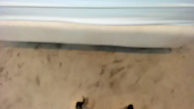 zara_lopez Live XXX-chat