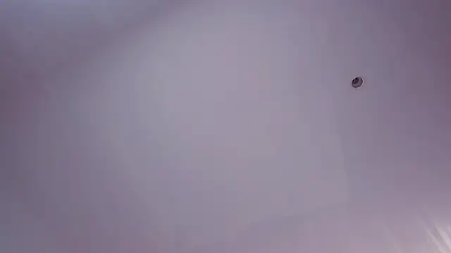 exposed_lizzy 现场XXX聊天