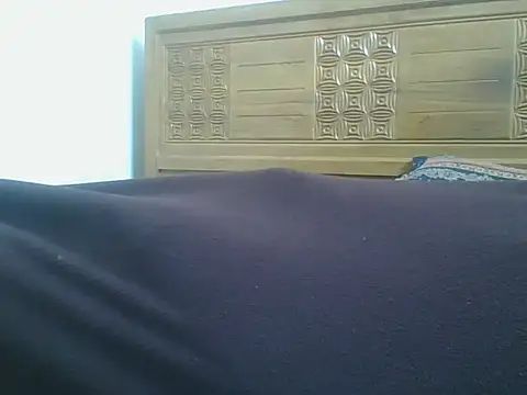 Heartline Live XXX-Chat