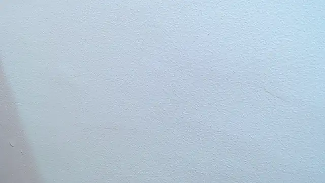 pinky_f00x Live XXX Chat