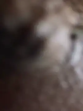 darle_volant's Webcam Show