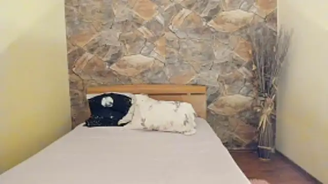 Rebeka2589 – Live XXX-chat