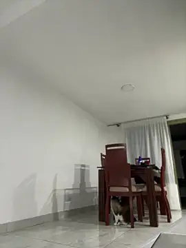 Salome_golvert's Live XXX Chat