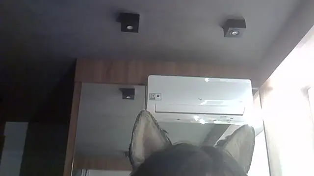 SkinnyKitten Live XXX Chat