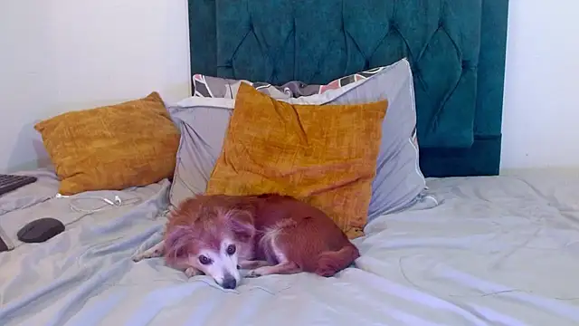 cedrixx10: απευθείας συνομιλία ΧΧΧ