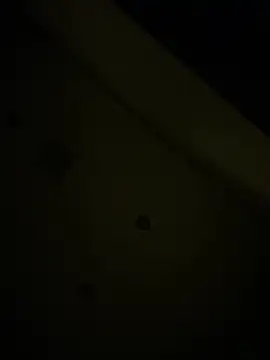 Вебкам-шоу Callmedaddy9