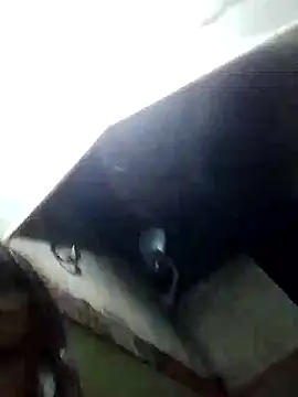 XxxXeduRLupit's Webcam Show